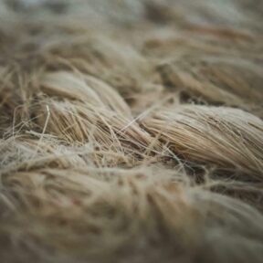 Matériaux biosourcés : quand la nature rencontre l’innovation